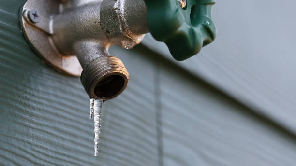 Best Septic Systems  in Dover, TN